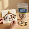 Buttons Galore 50 Piece Nativity Christmas Novelty Buttons Assortment for Sewing and Crafts